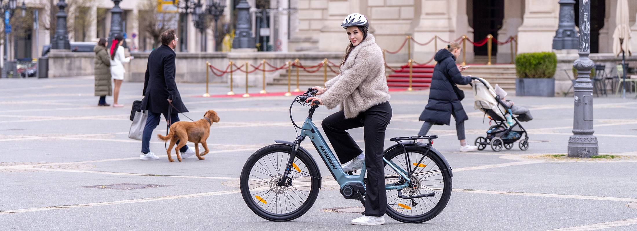e fahrrad