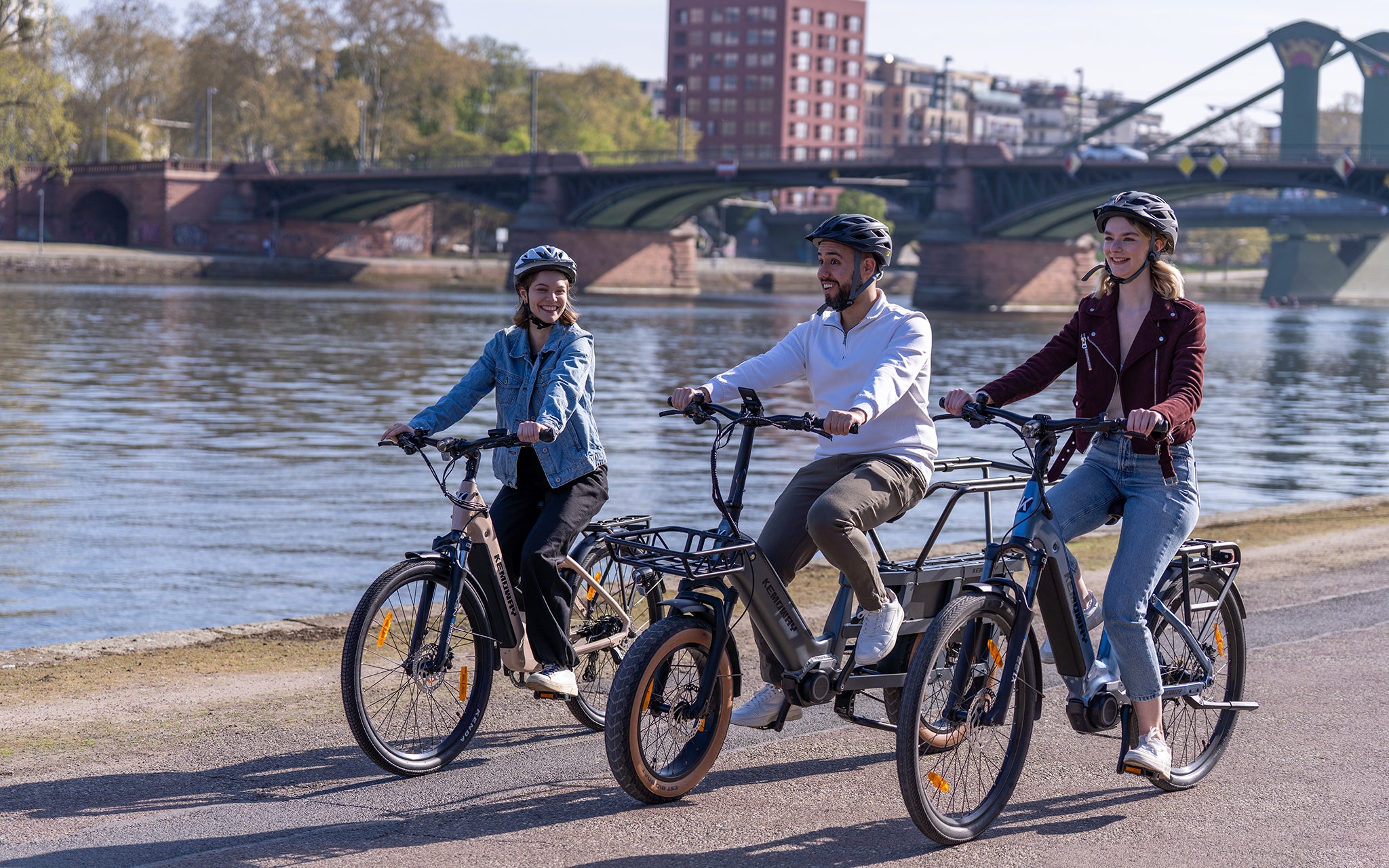 ebike tiefeinsteiger